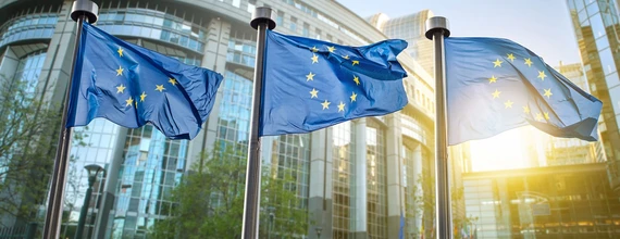 Novartis and the European Union Novartis and the European Union